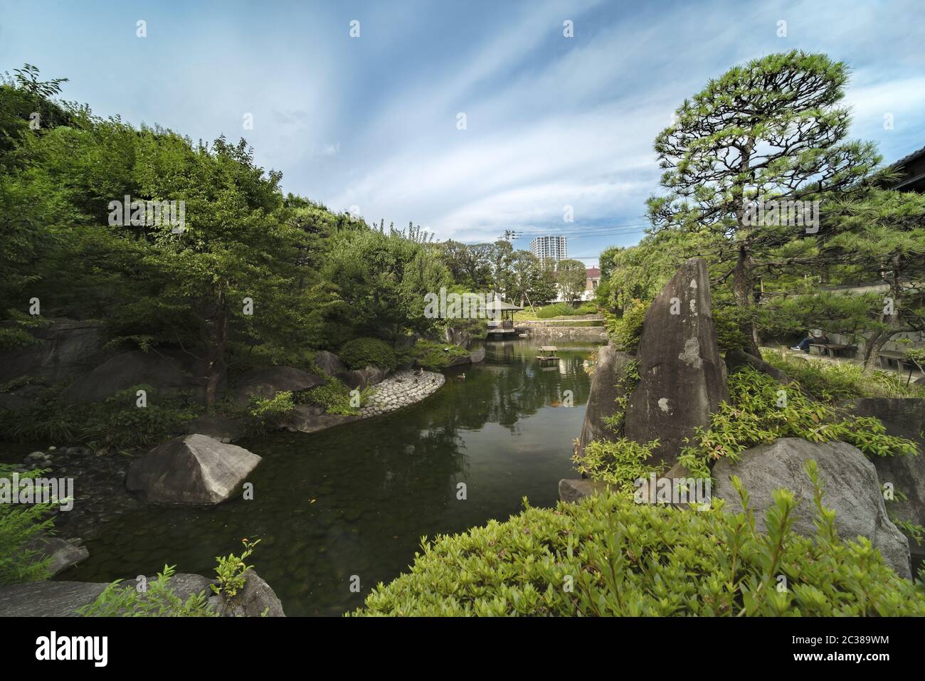 Central pond of Mejiro Garden which is surrounded by large flat stones on which ducks rest under the Stock Photo