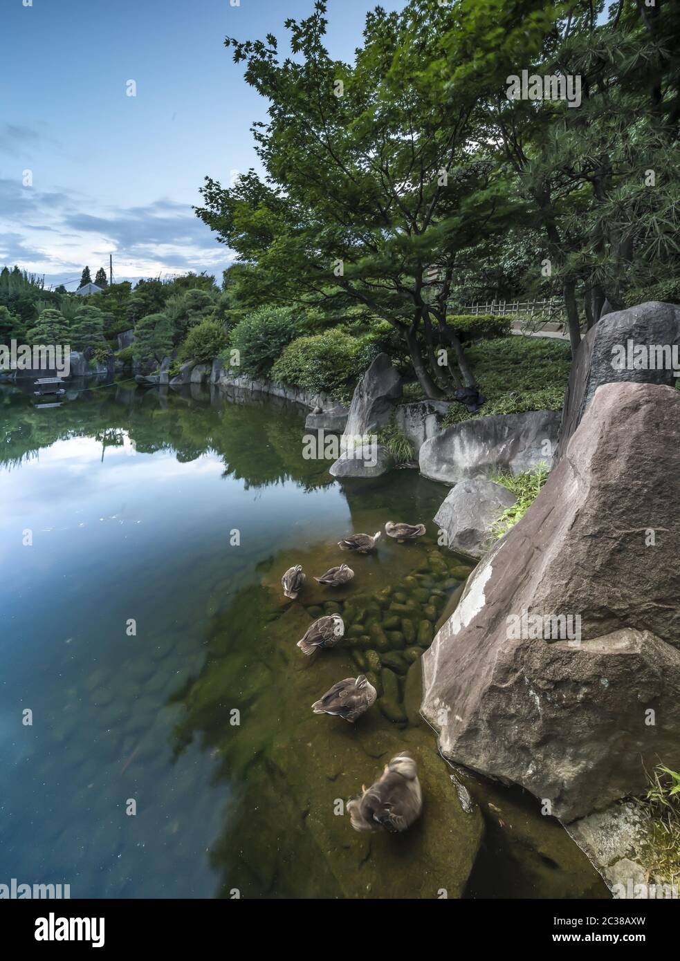 Central pond of Mejiro Garden where ducks are resting and which is surrounded by large rocks and sto Stock Photo