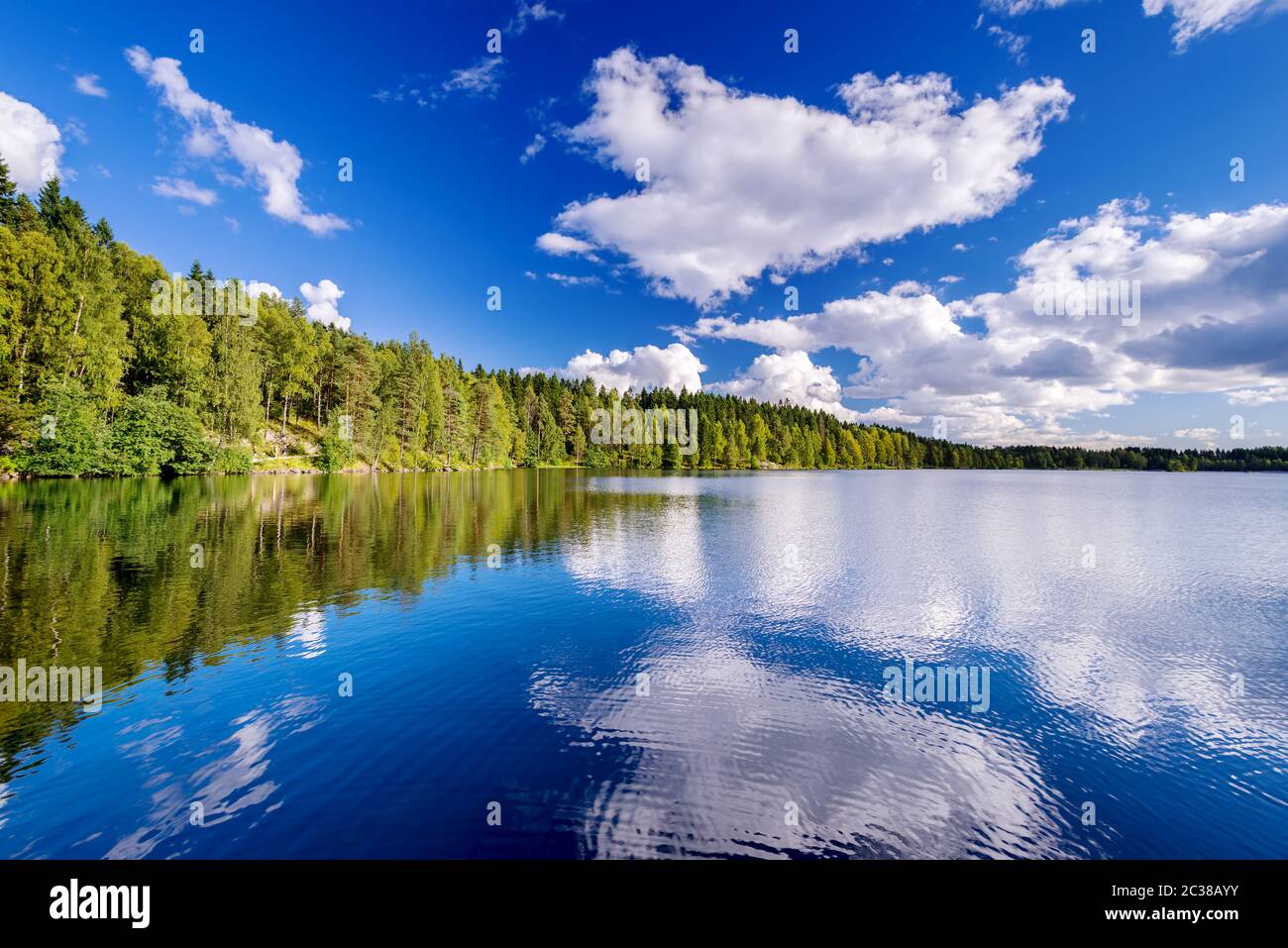 Forest lake on cloudy hi-res stock photography and images - Alamy