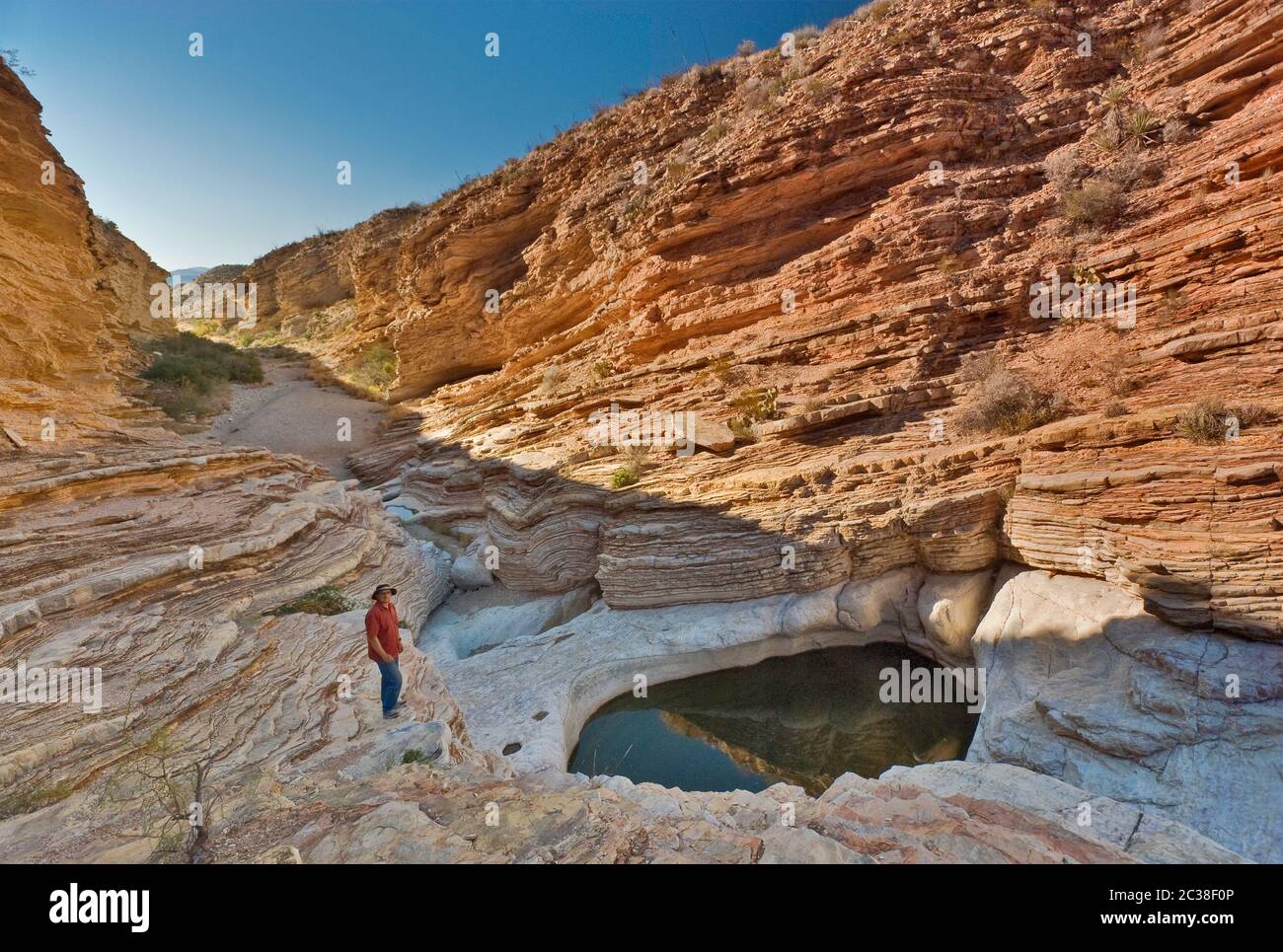 Hiker at Ernst Tinaja water pools, Chihuahuan Desert in Big Bend National Park, Texas, USA Stock Photo