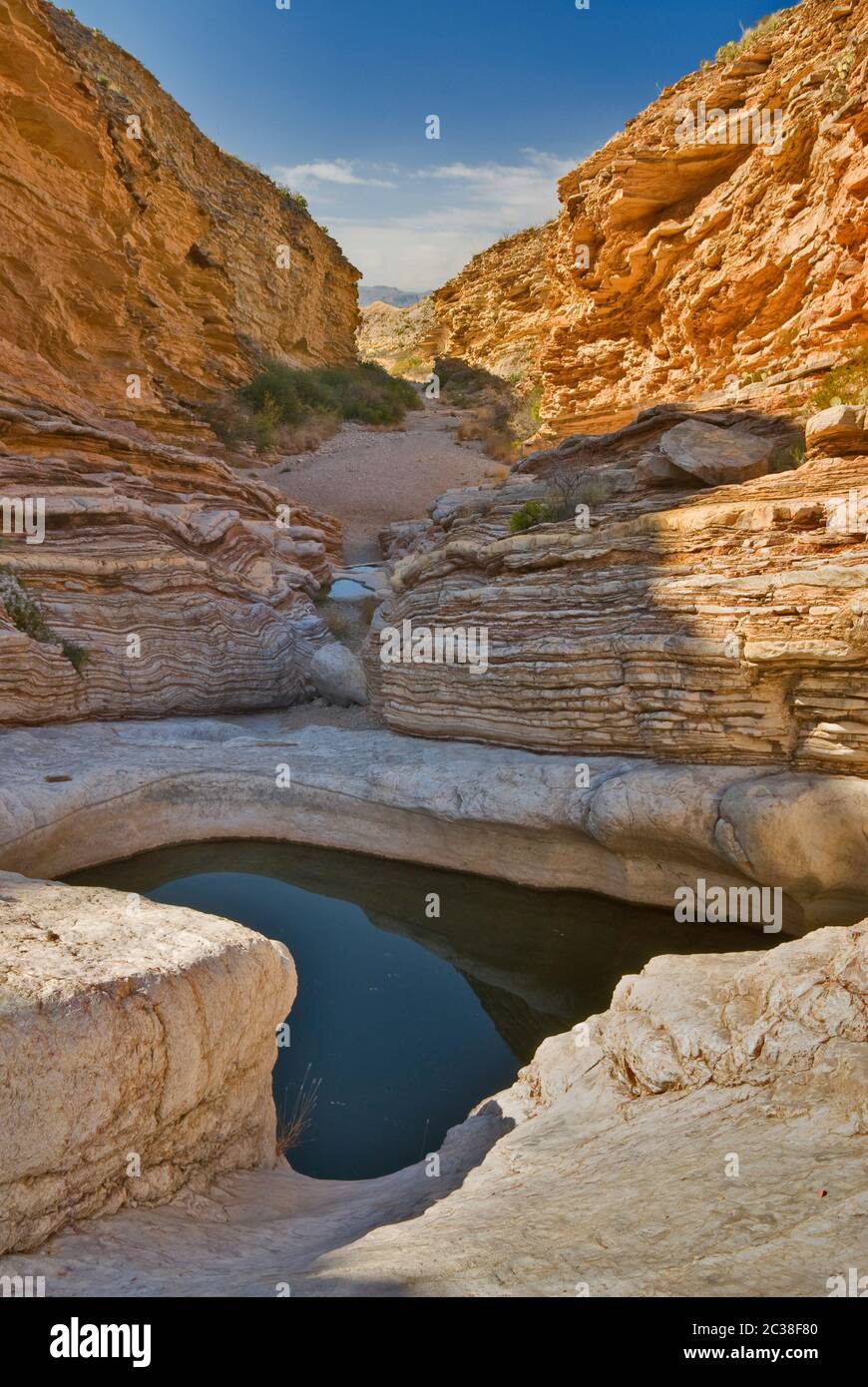Ernst Tinaja water pools, Chihuahuan Desert in Big Bend National Park, Texas, USA Stock Photo