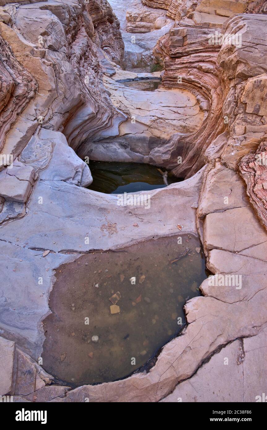 Ernst Tinaja water pools, Chihuahuan Desert in Big Bend National Park, Texas, USA Stock Photo