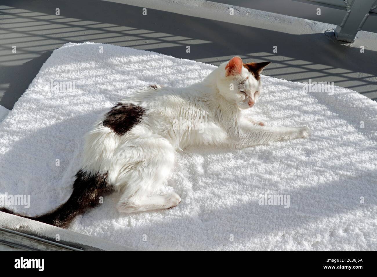 Throw rug hi-res stock photography and images - Alamy