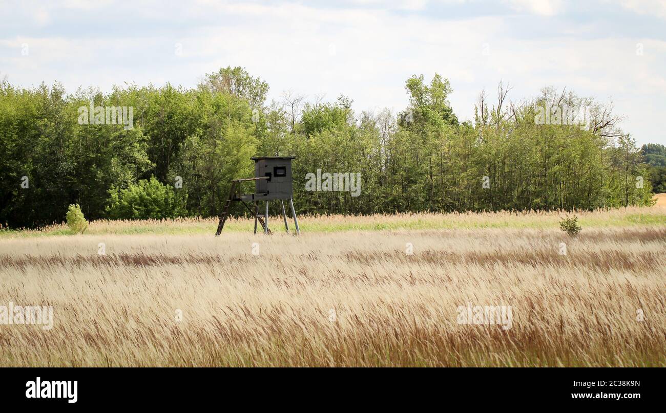 a spacious clearing, meadow with a high seat made of wood Stock Photo