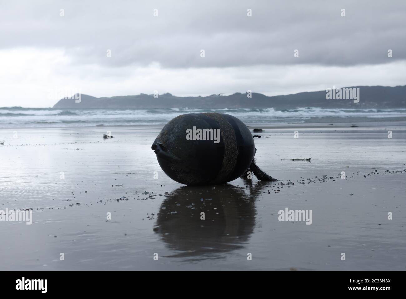 2,512 Fishing Buoy Stock Photos, High-Res Pictures, and Images