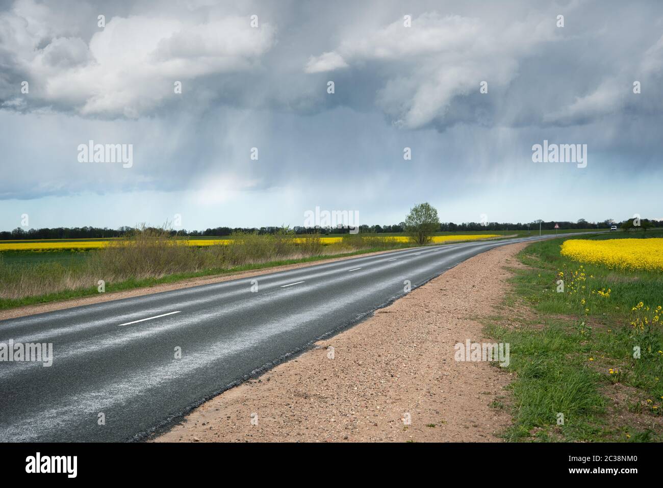 Wet asphalt road beatween fields Stock Photo - Alamy