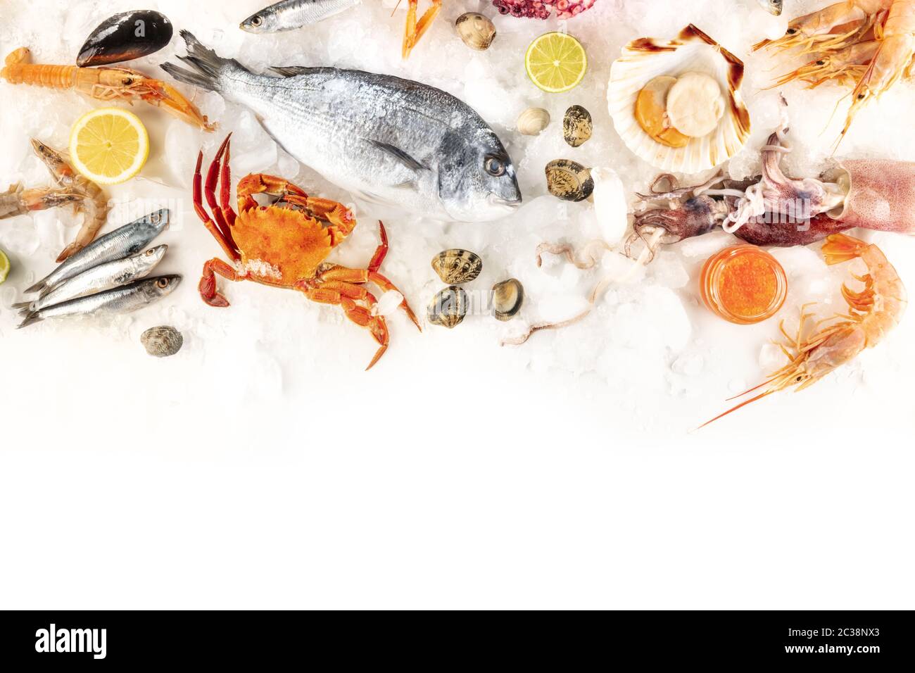 Fish and seafood, overhead shot on a white background with copy space