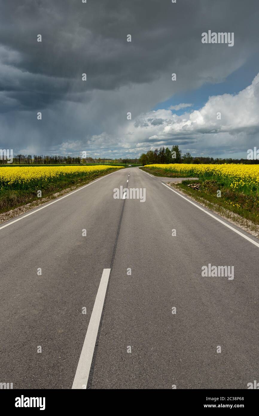 Asphalt road beatween fields Stock Photo - Alamy