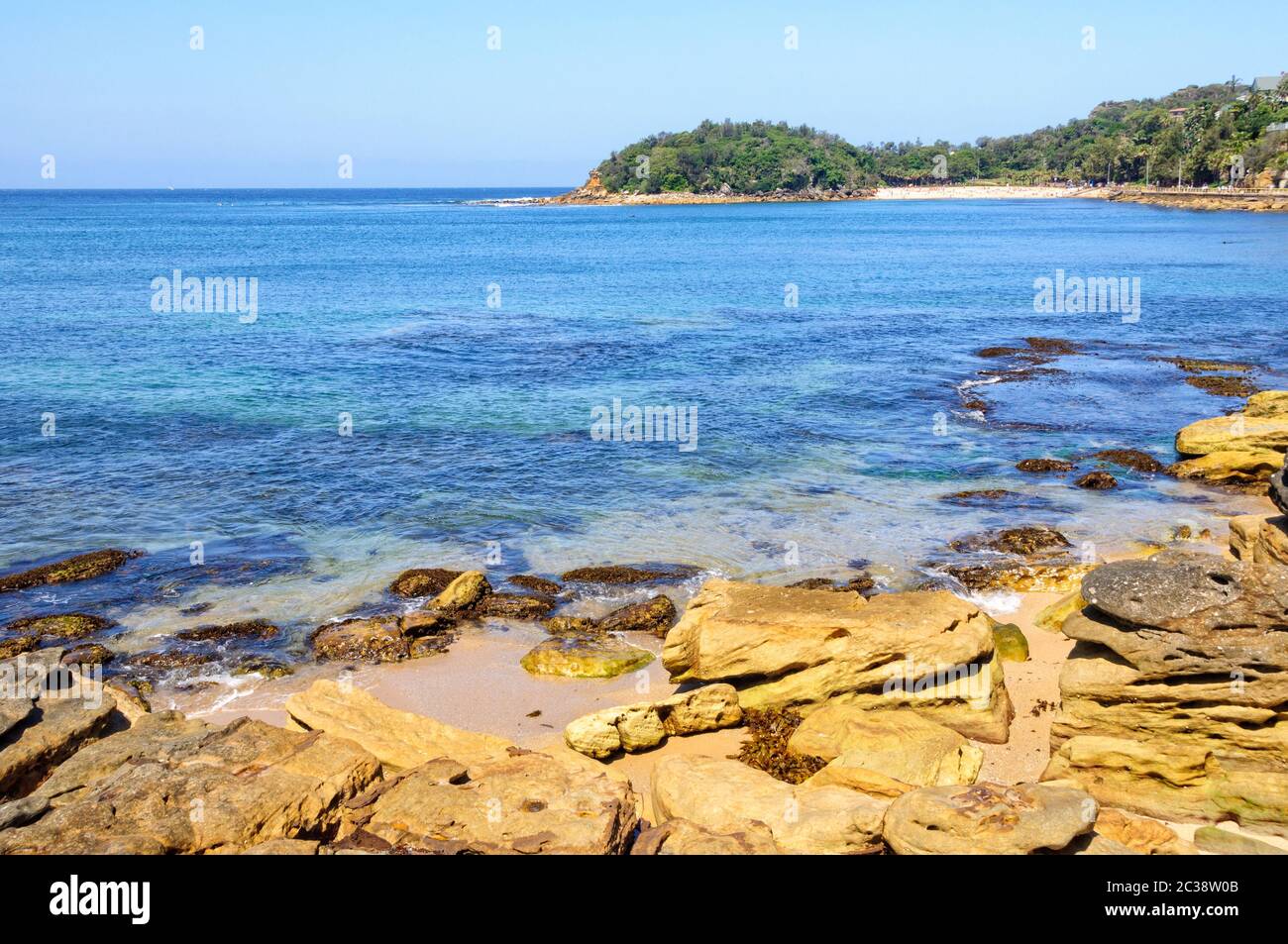 Cabbage Tree Bay on Sydney's northern beaches at Manly is an aquatic
