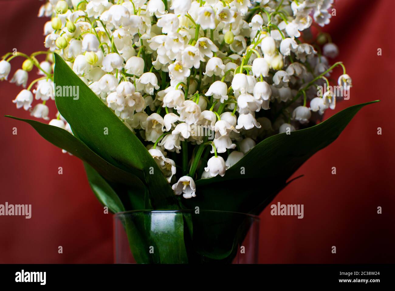 Delicate bouquet of lily of the valley in a glass vase on a red ...