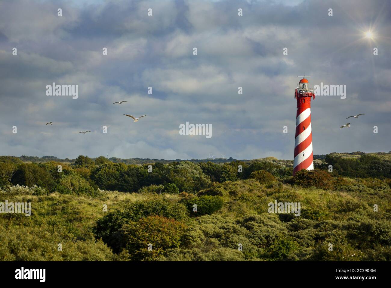 The 53-metre-high lighthouse Westerlichttoren in Nieuw Haamstede in the Netherlands on Zeeland with gulls, sun, sunrays  and copy space Stock Photo