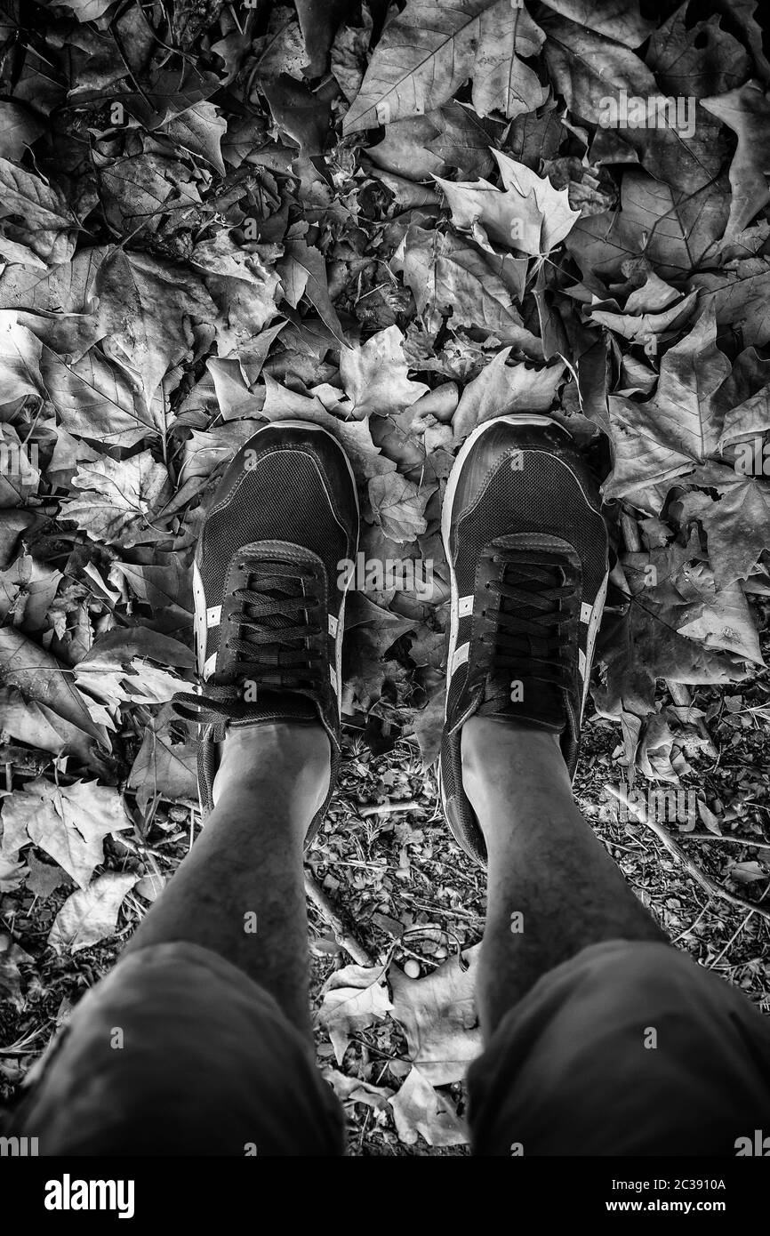 Leaves sneakers, sport detail in autumn Stock Photo