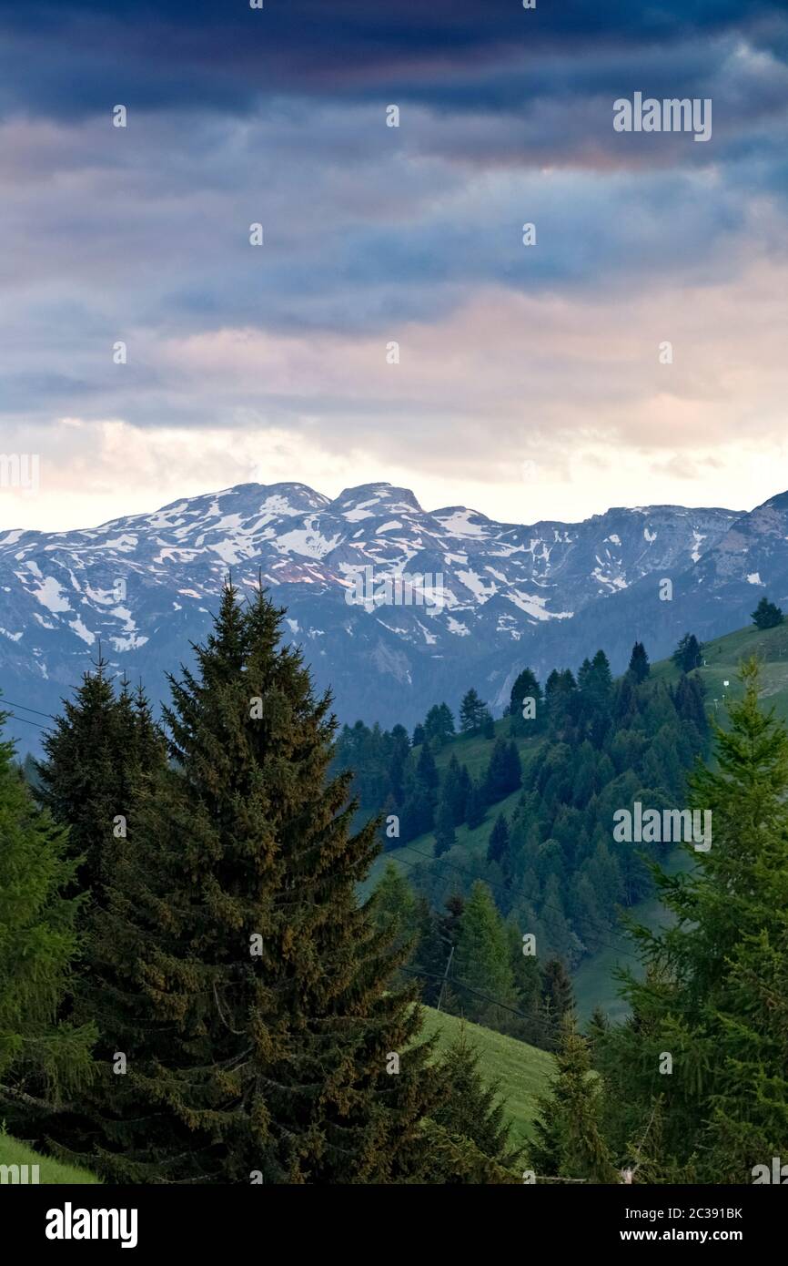 The Pasubio massif and the woods of Alpe Cimbra. Folgaria, Trentino, Italy, Europe. Stock Photo