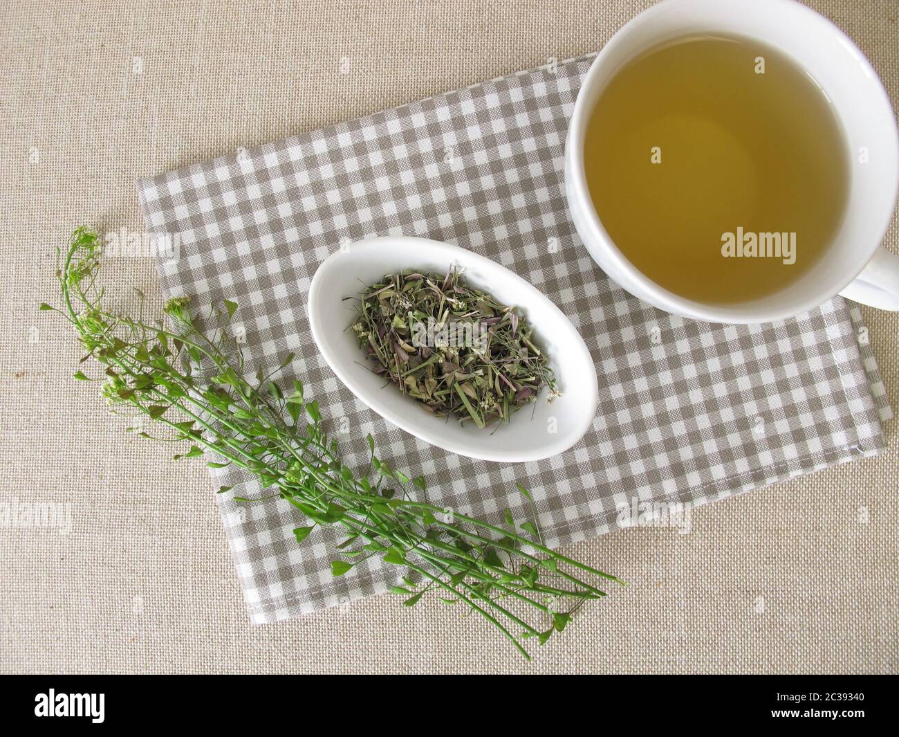 A cup of shepherds purse herbal tea Stock Photo