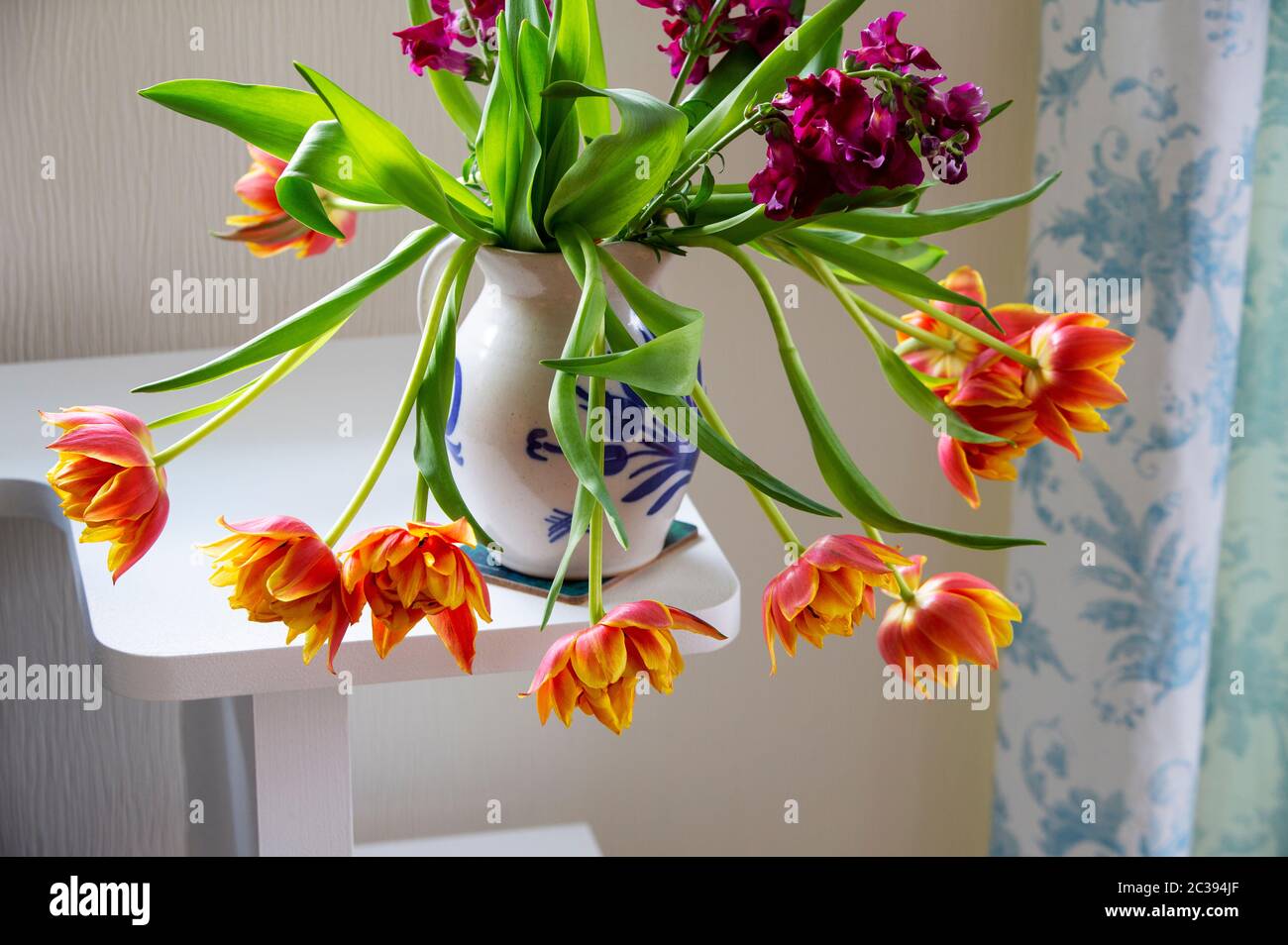 Drooping Tulips if a flower vase Stock Photo Alamy