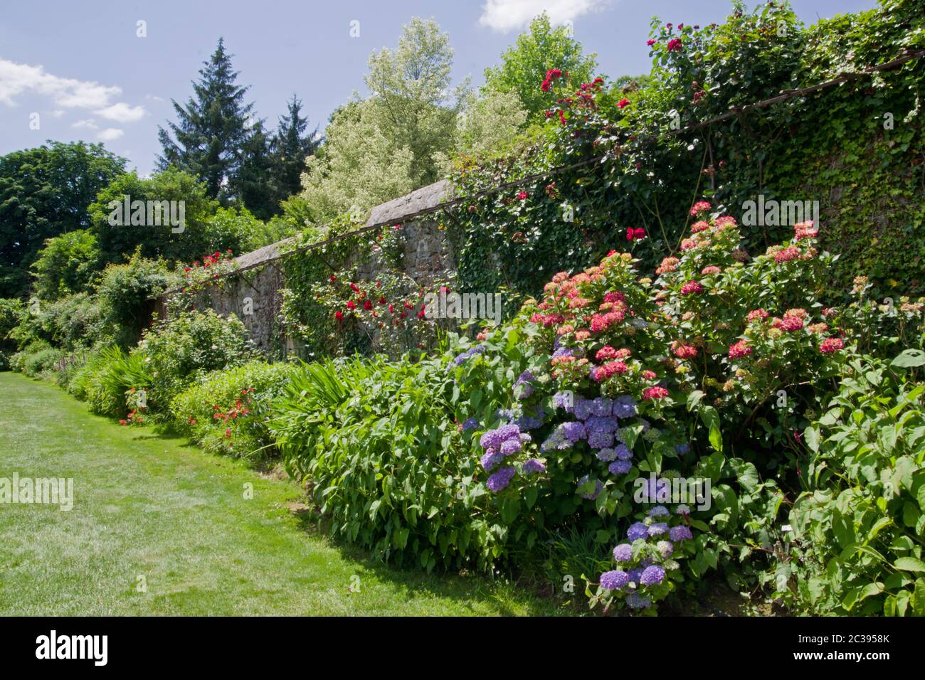 Wall garden, Parc Botanique de Haute Bretagne Stock Photo