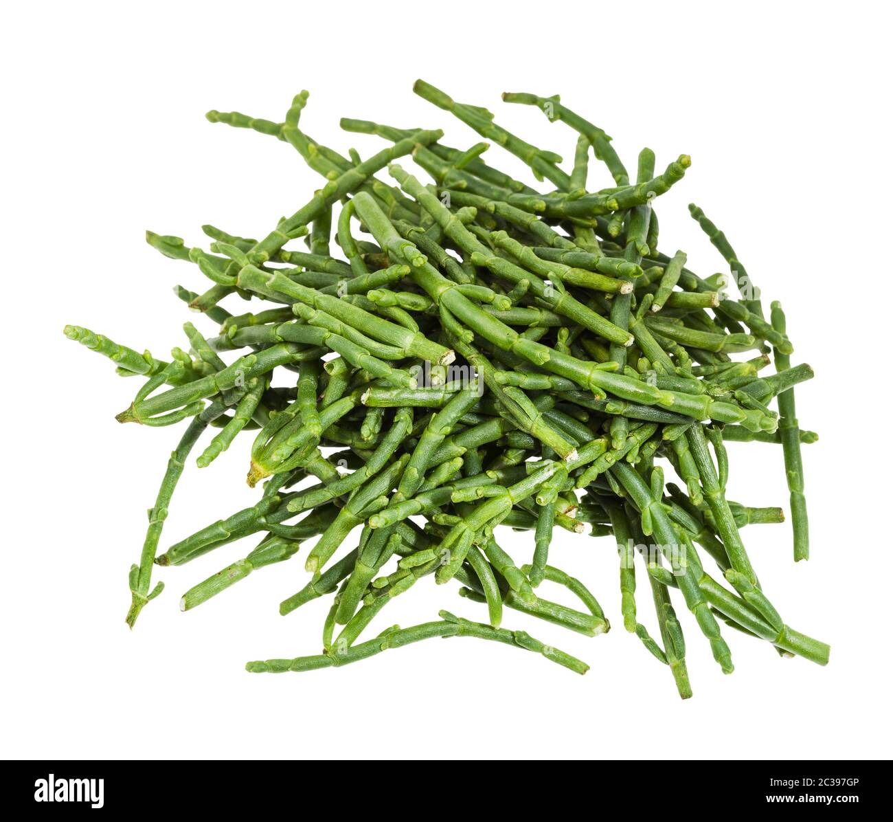 top view of pile of fresh twigs of Salicornia (glasswort) plant isolated on white background Stock Photo