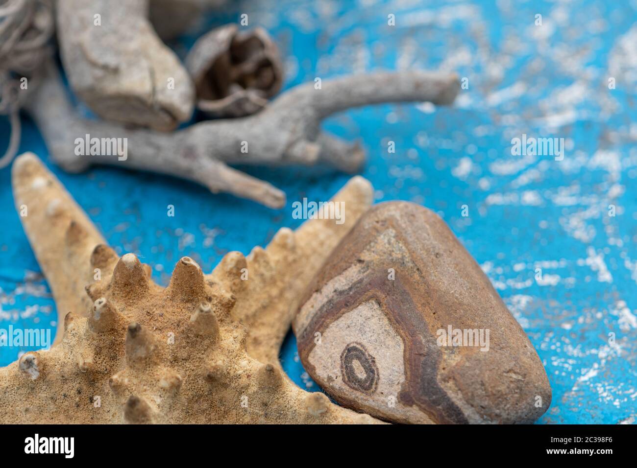 Sea and ocean small shells. Dried starfish can be used as decorations,  ornaments, or jewelry. They can also be used in crafts such as wreaths,  wall Stock Photo - Alamy