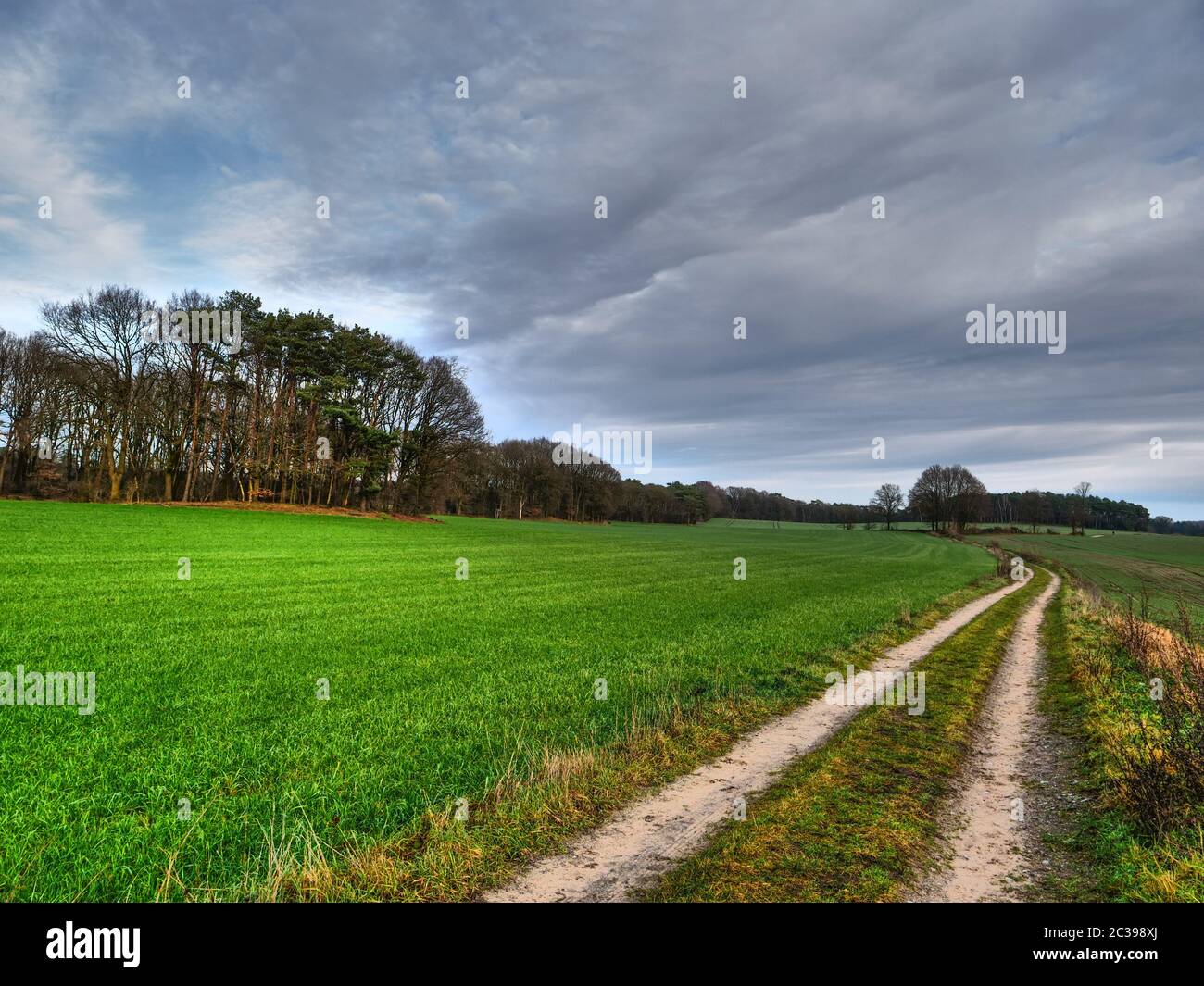 hiking in the german muensterland near reken Stock Photo - Alamy