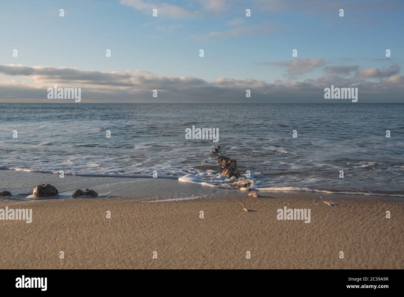 Old wooden groyne Stock Photo