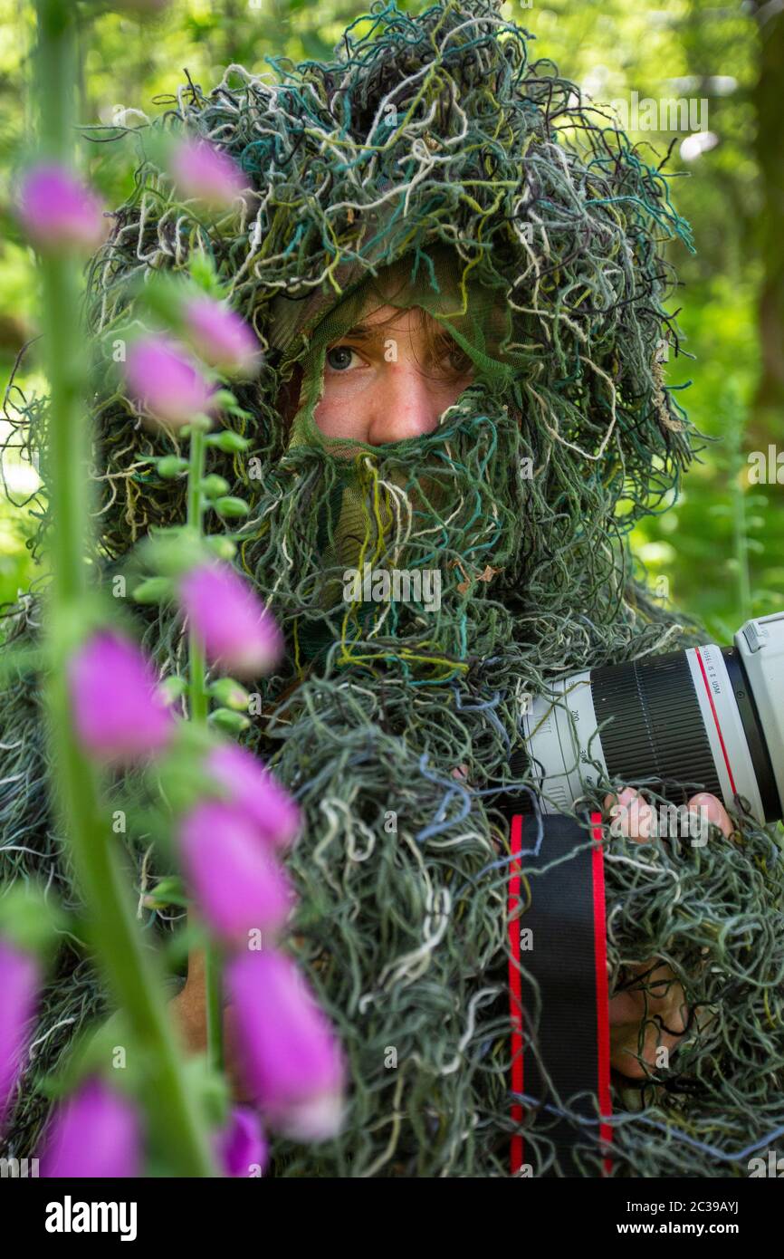 a-wildlife-photographer-wearing-a-camouflage-suit-lake-district-uk-bracken-fern-2C39AYJ.jpg