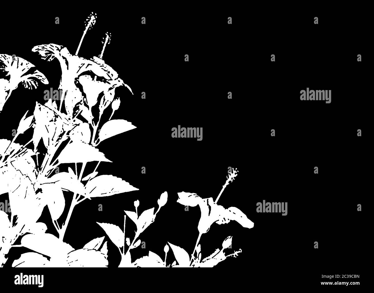 Black and White Floral Borders Background Stock Photo - Alamy