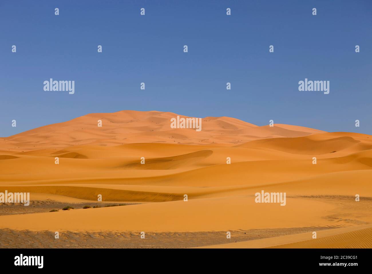 sahara desert dunes, in Morocco Stock Photo - Alamy