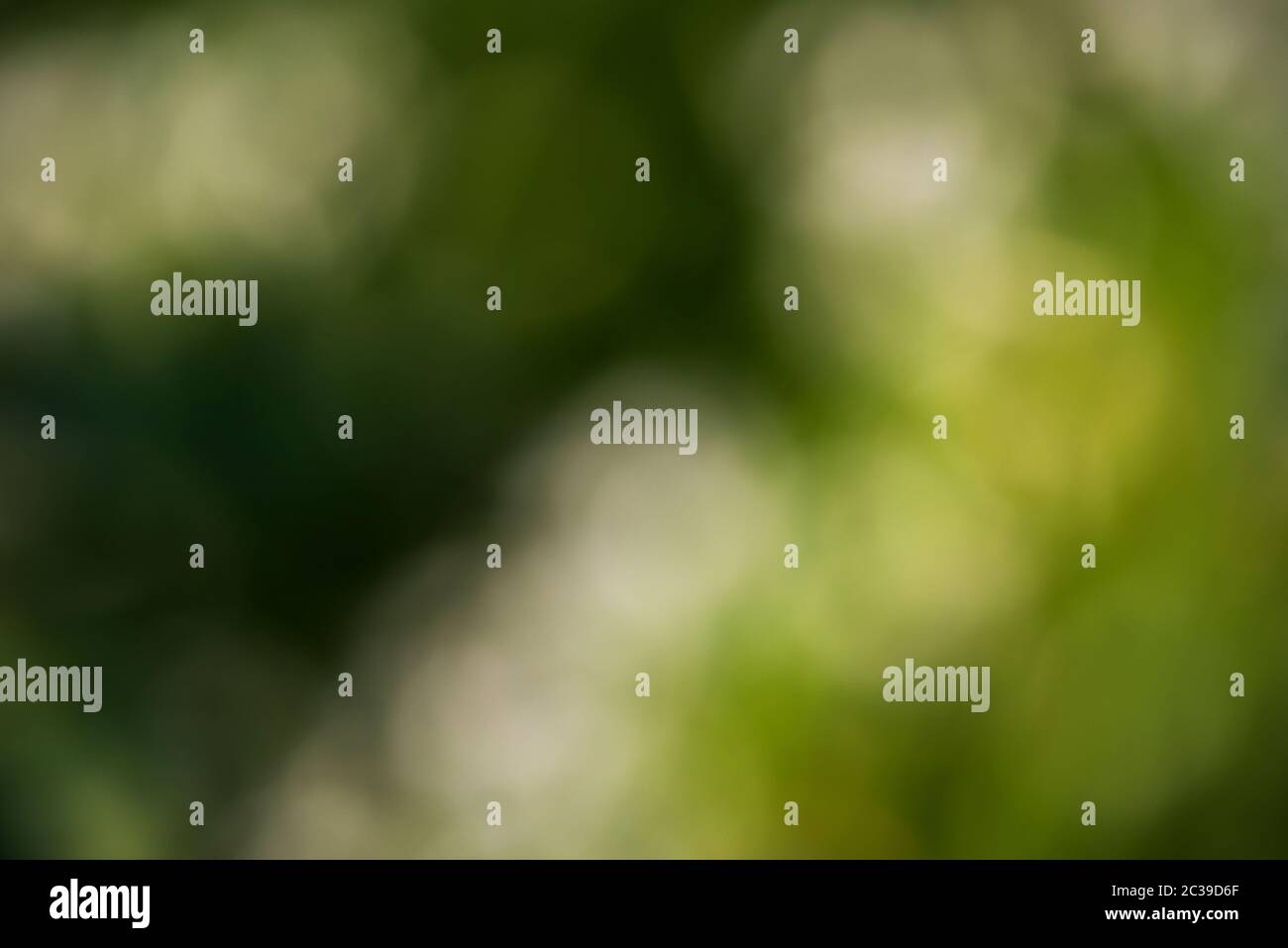 Bokeh graphics hi-res stock photography and images - Alamy