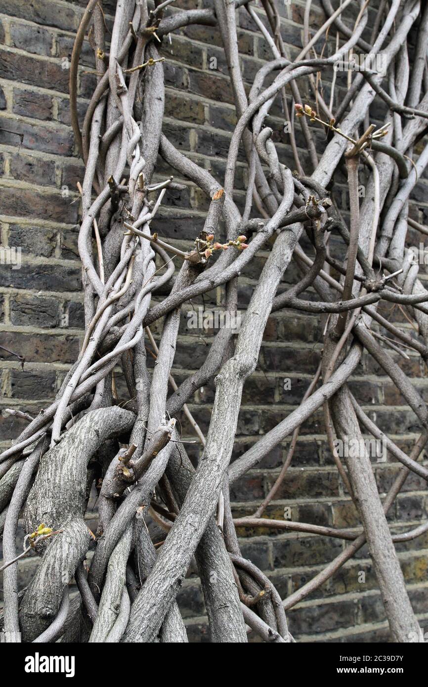 Climbering hi-res stock photography and images - Alamy