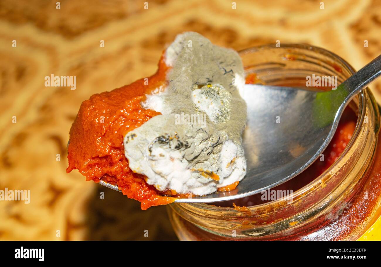 Mold growing on the tomato paste. Close up Stock Photo