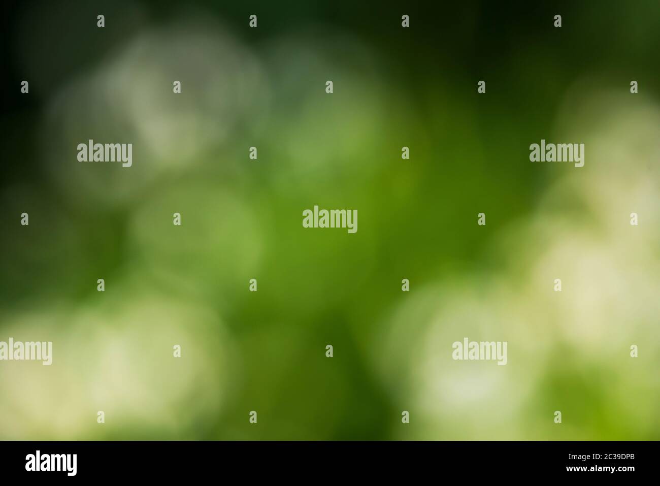 Bokeh graphics hi-res stock photography and images - Alamy