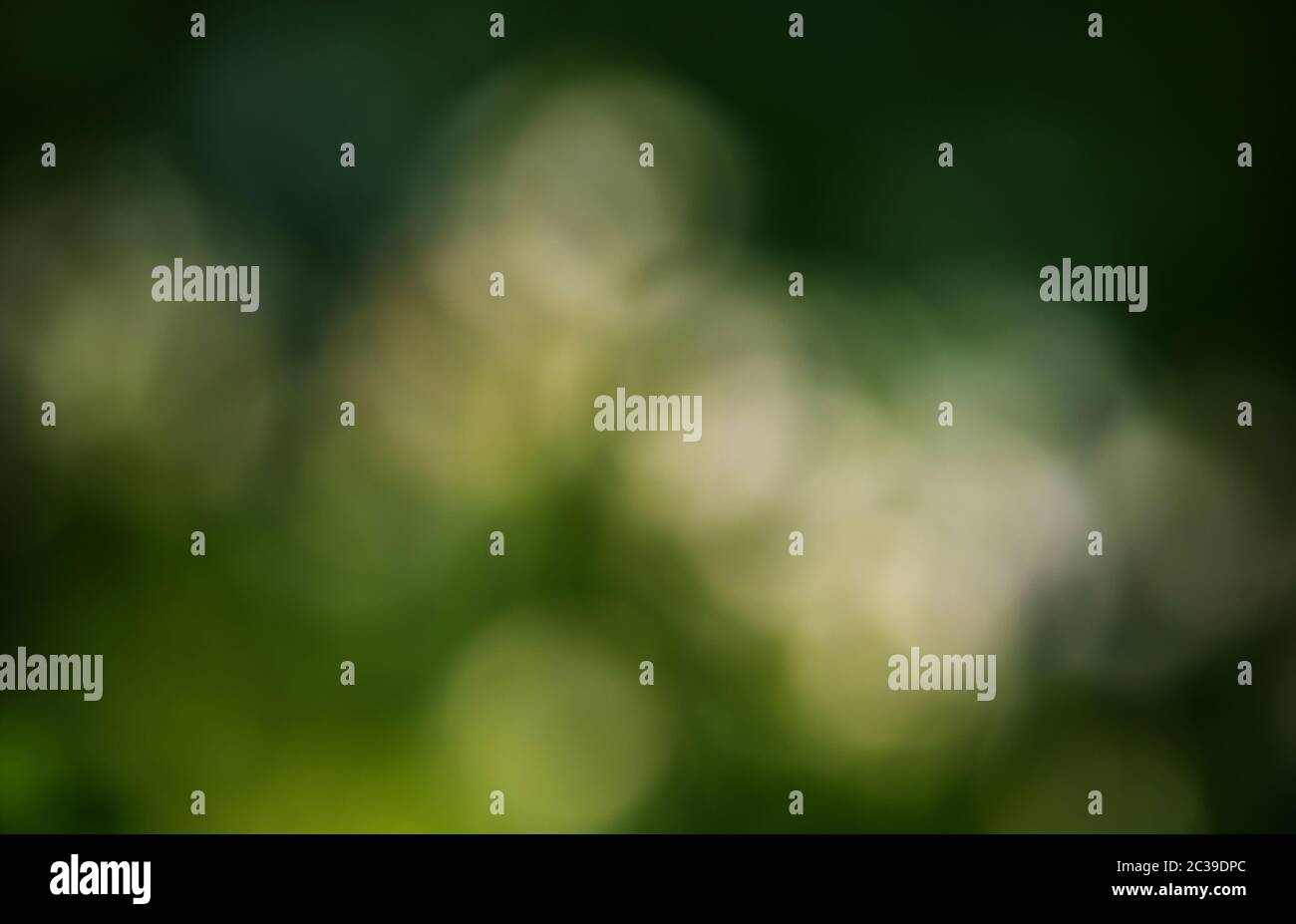 Bokeh graphics hi-res stock photography and images - Alamy