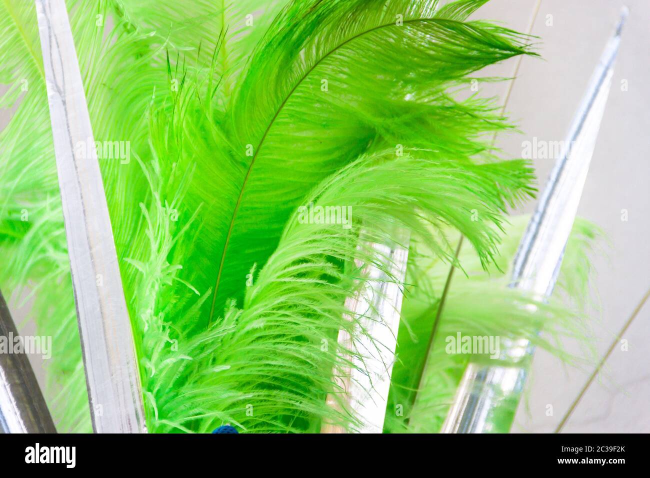 background with colorful carnival feathers texture Stock Photo - Alamy