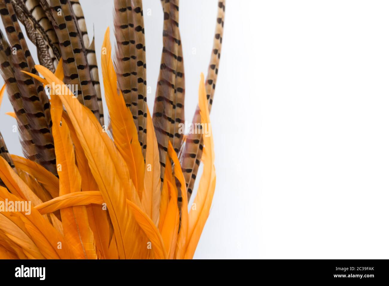 background with colorful carnival feathers texture Stock Photo - Alamy