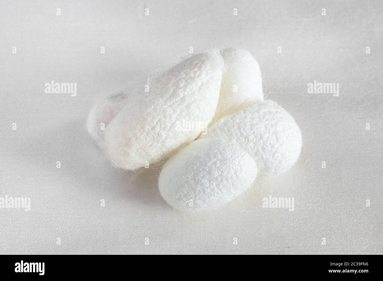 natural silkworm cocoons for facial skin care on white silk fabric closeup Stock Photo