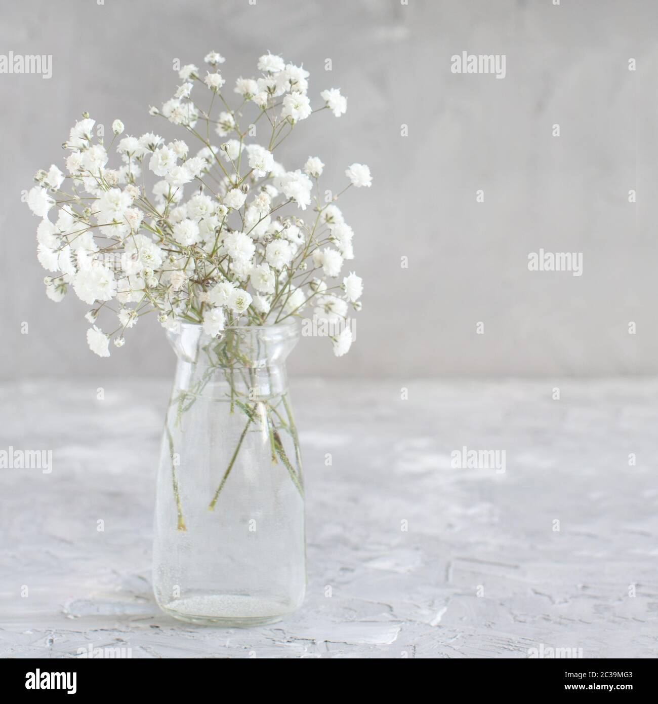 Bouquet of small white flowers in a jar on a grey background Stock ...