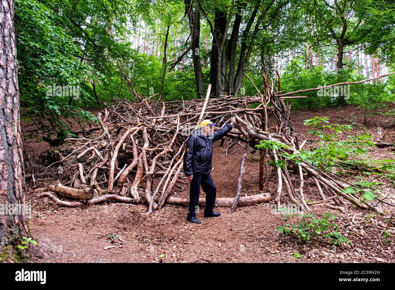 Survival shelter made of tree branches in Briesetal nature reserve in a