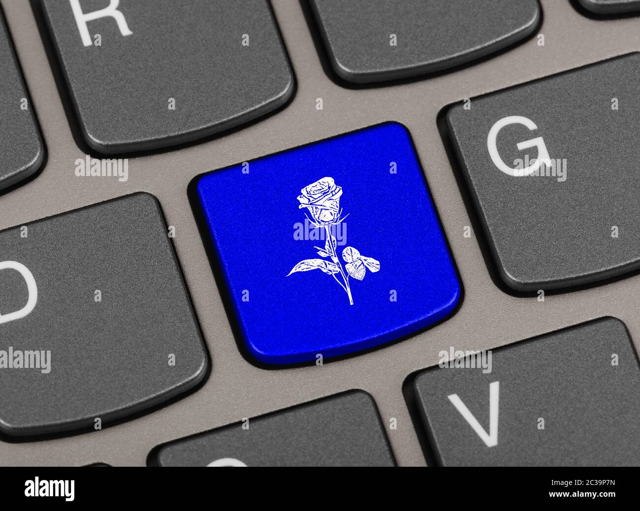 Flowers computer keyboard hires stock photography and images Alamy