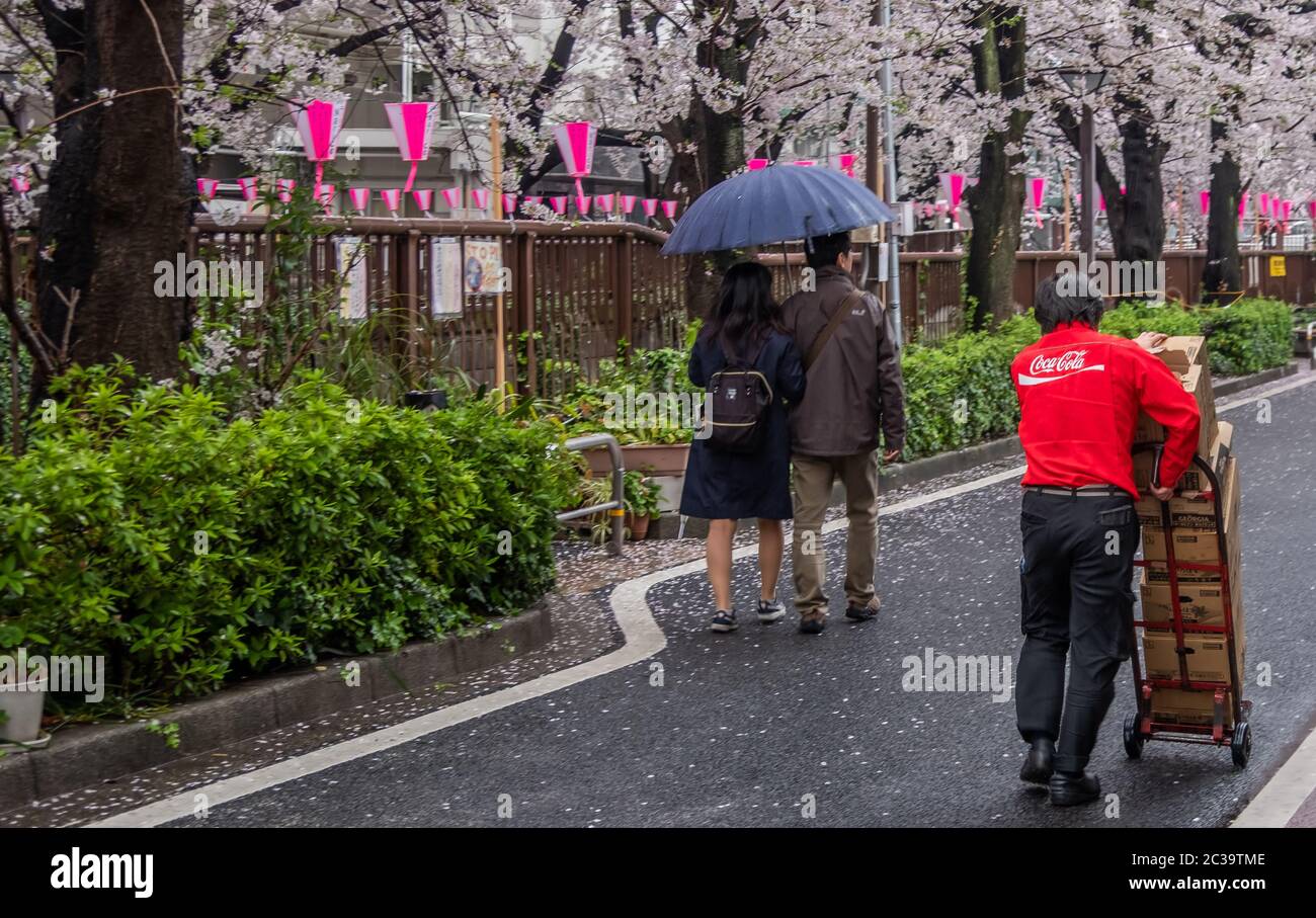 Man delivering and stocking up Coca Cola drinks at Nakameguro neighborhood, Tokyo, Japanp Stock Photo