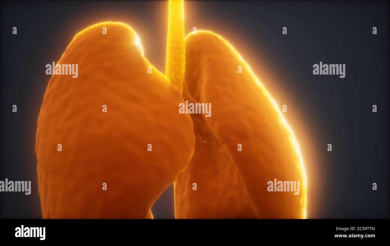 Human animation hi-res stock photography and images - Alamy