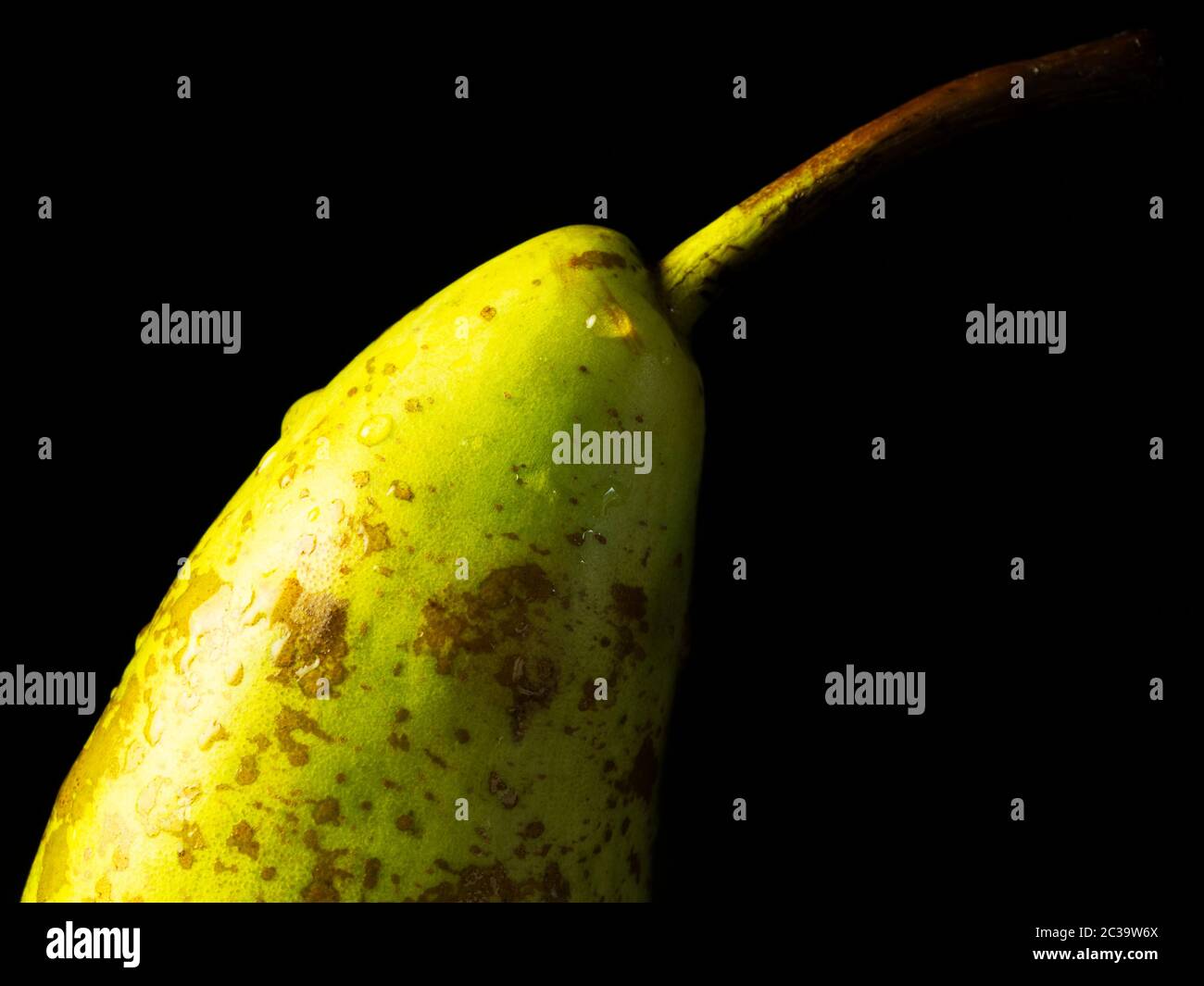 A single washed conference pear with water droplets against a black background Stock Photo