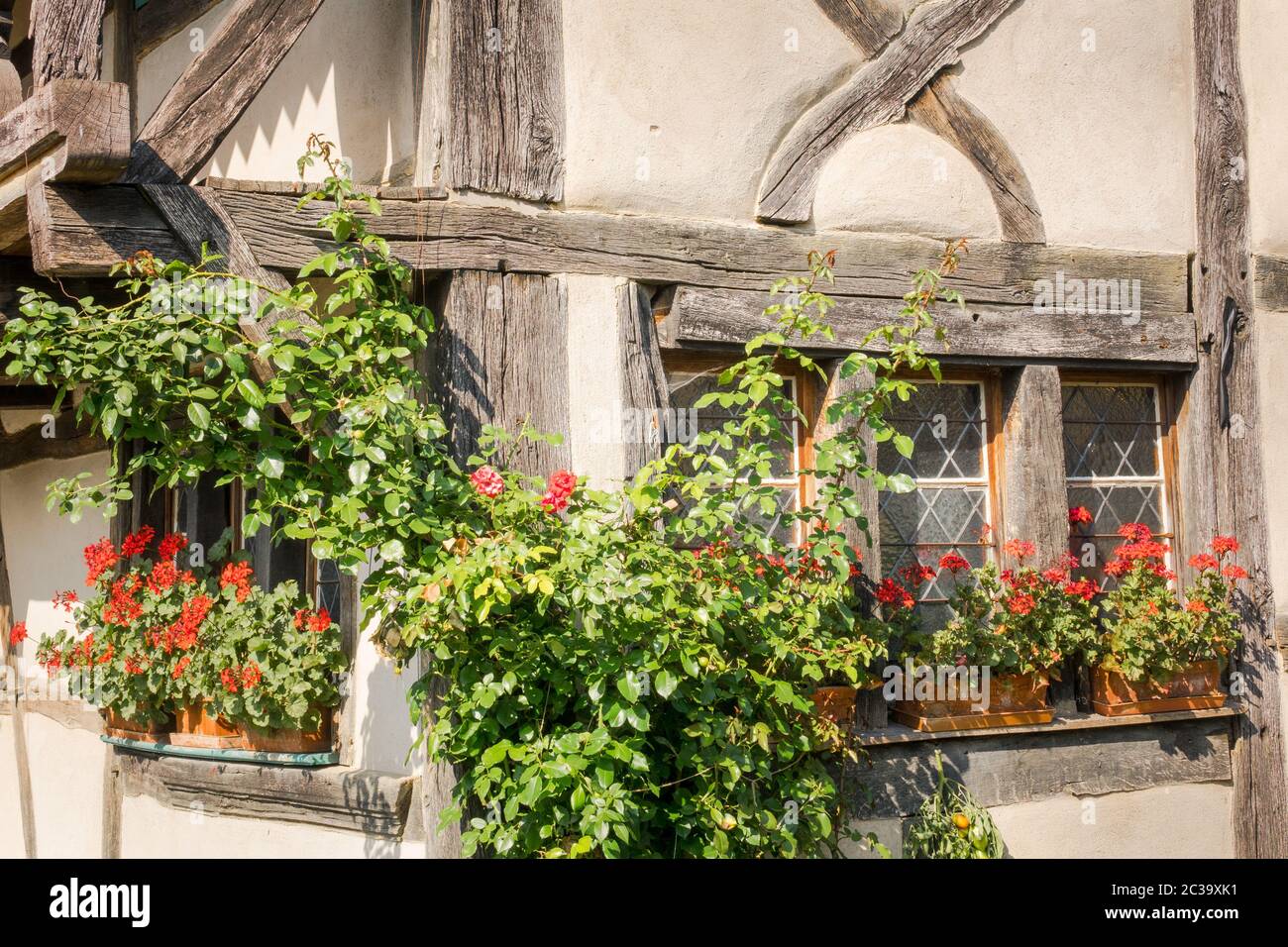 Red geraniums on the windowsill of an old halftimbered farmhouse Stock ...