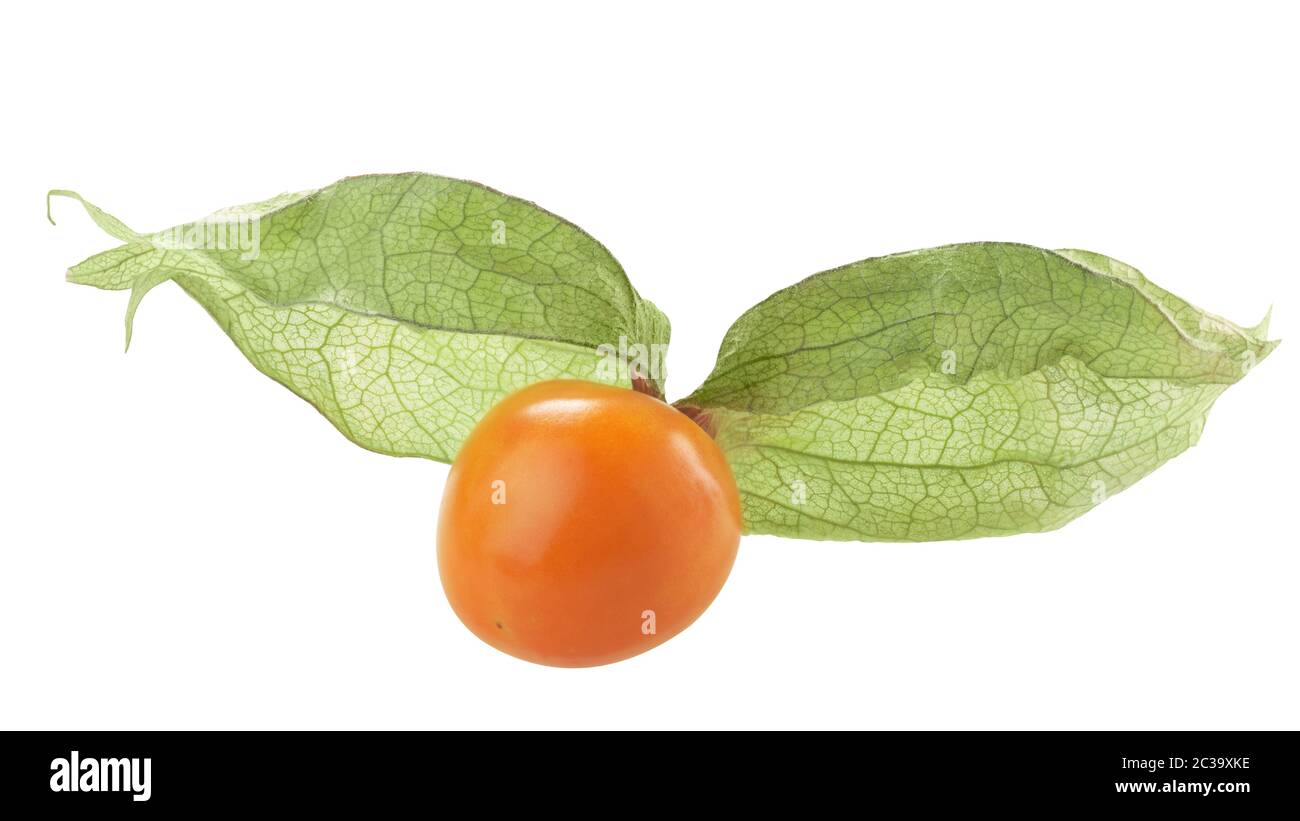 Cape gooseberry or Physalis, an edible fruit of Physalis peruviana ...