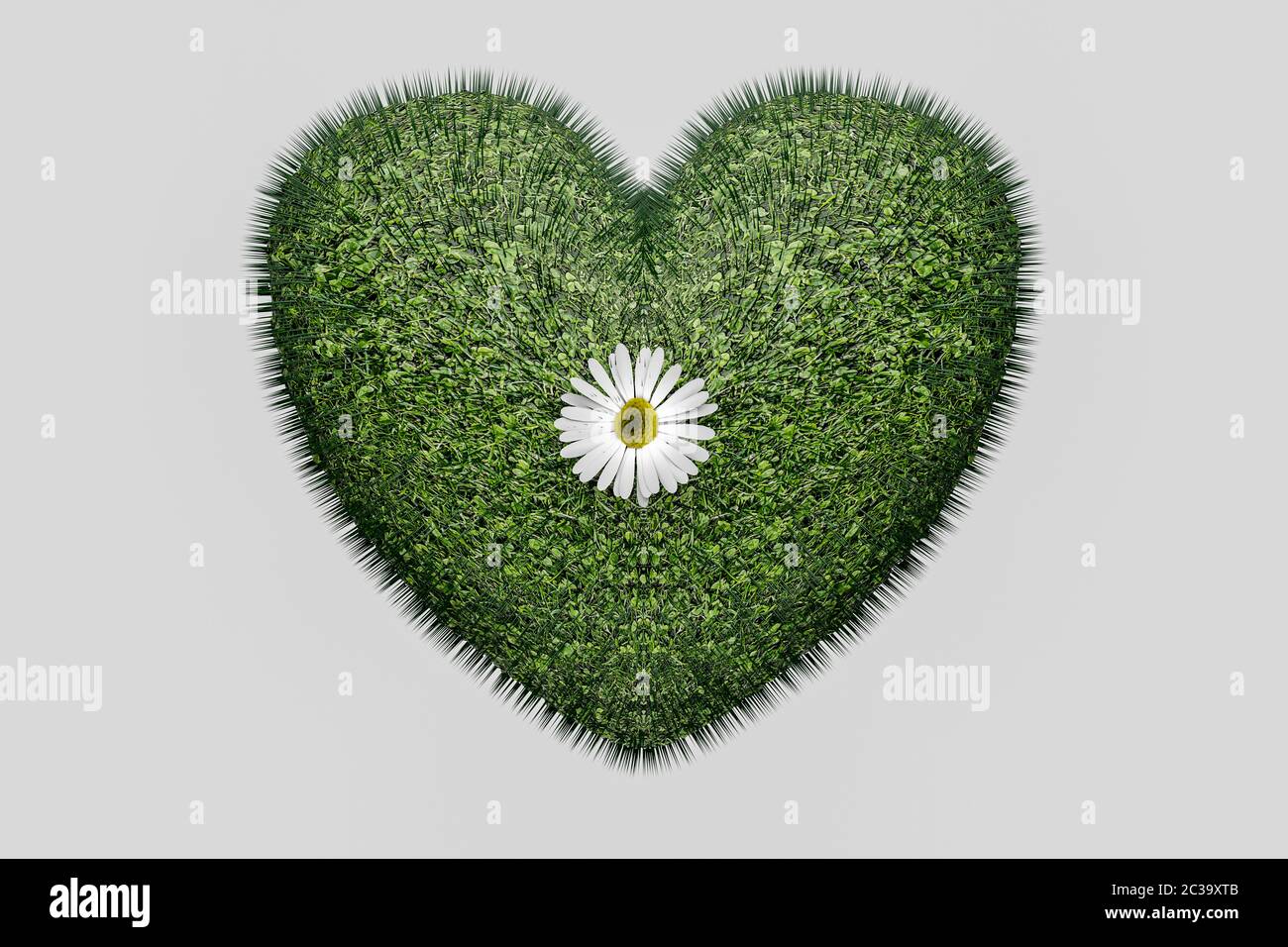 Download Green Grass In A Heart Shape With Daisy Flower Romantic Or Love Nature Concept 3d Illustration Stock Photo Alamy