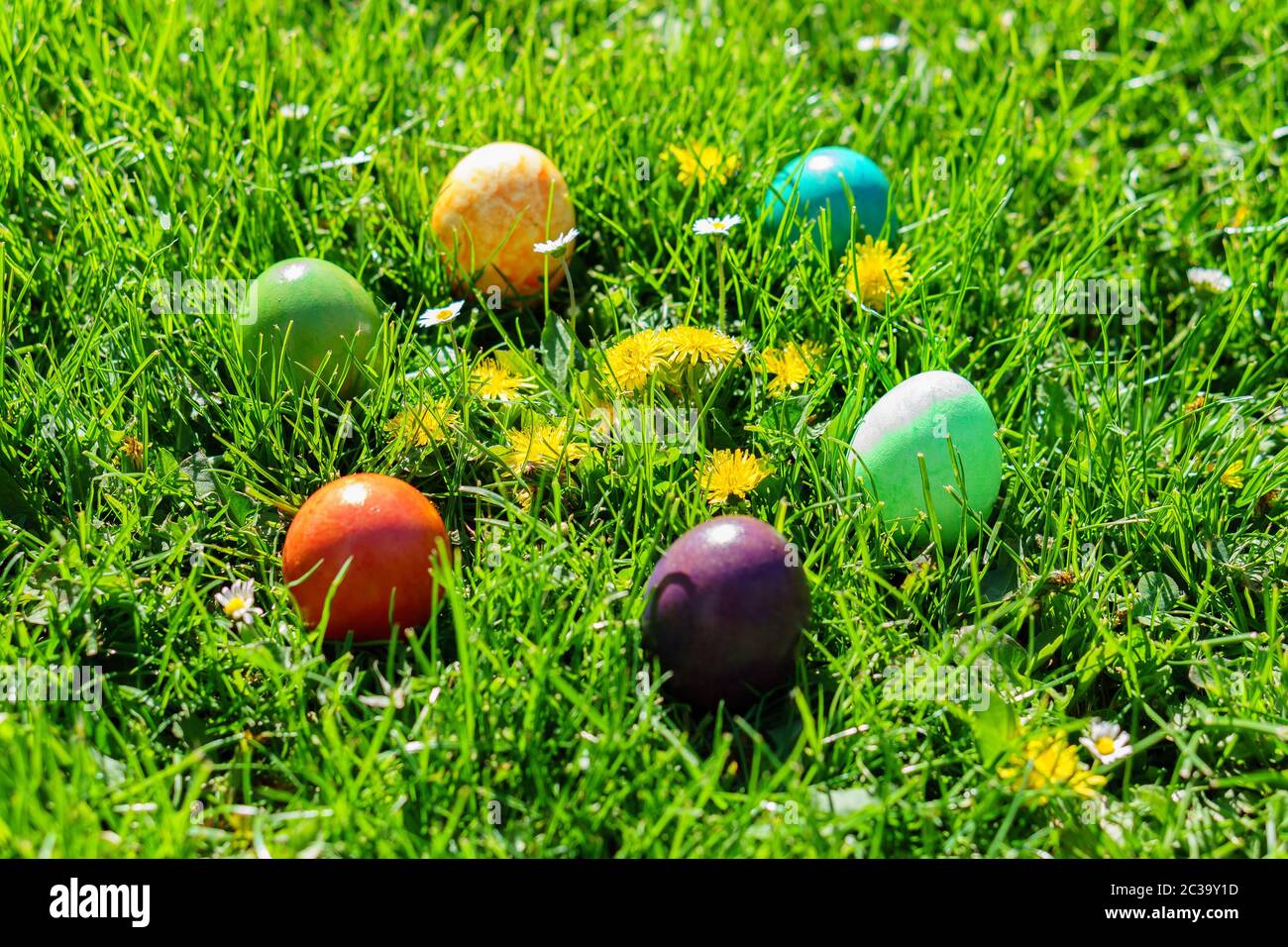 37+ Egge Für Garten, Der fein geschliffene stiel sorgt für gute