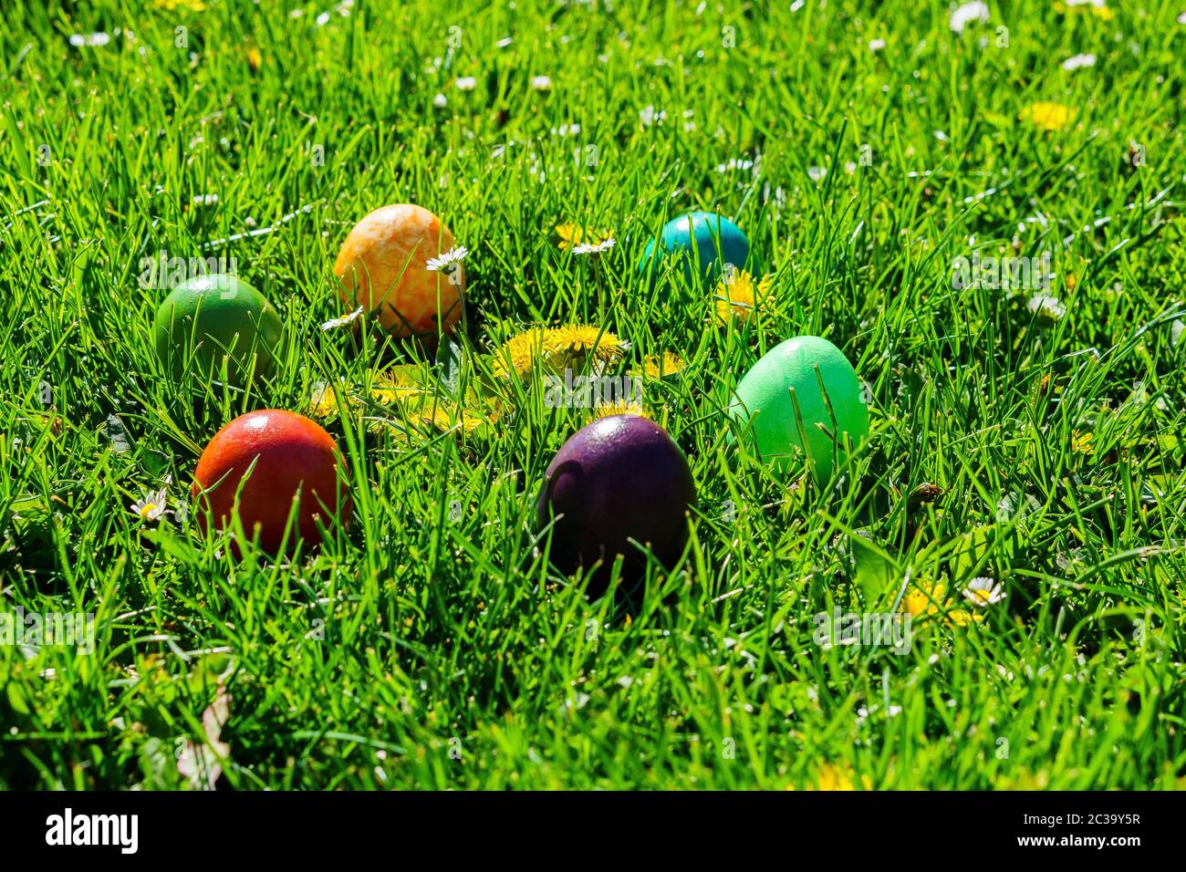 Easter Eggs in the Garden Stock Photo