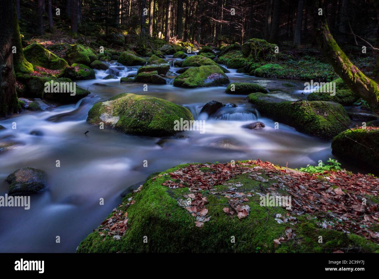 Otterbachtal in the Bavarian Forest Stock Photo