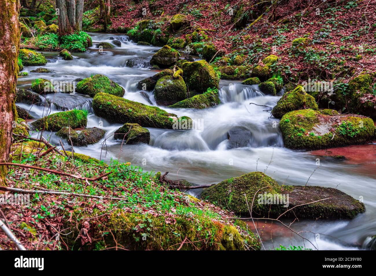 Otterbachtal in the Bavarian Forest Stock Photo