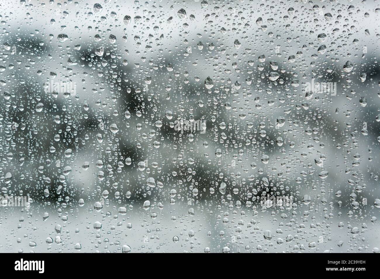 Waterdrops on Frozen Window Stock Photo