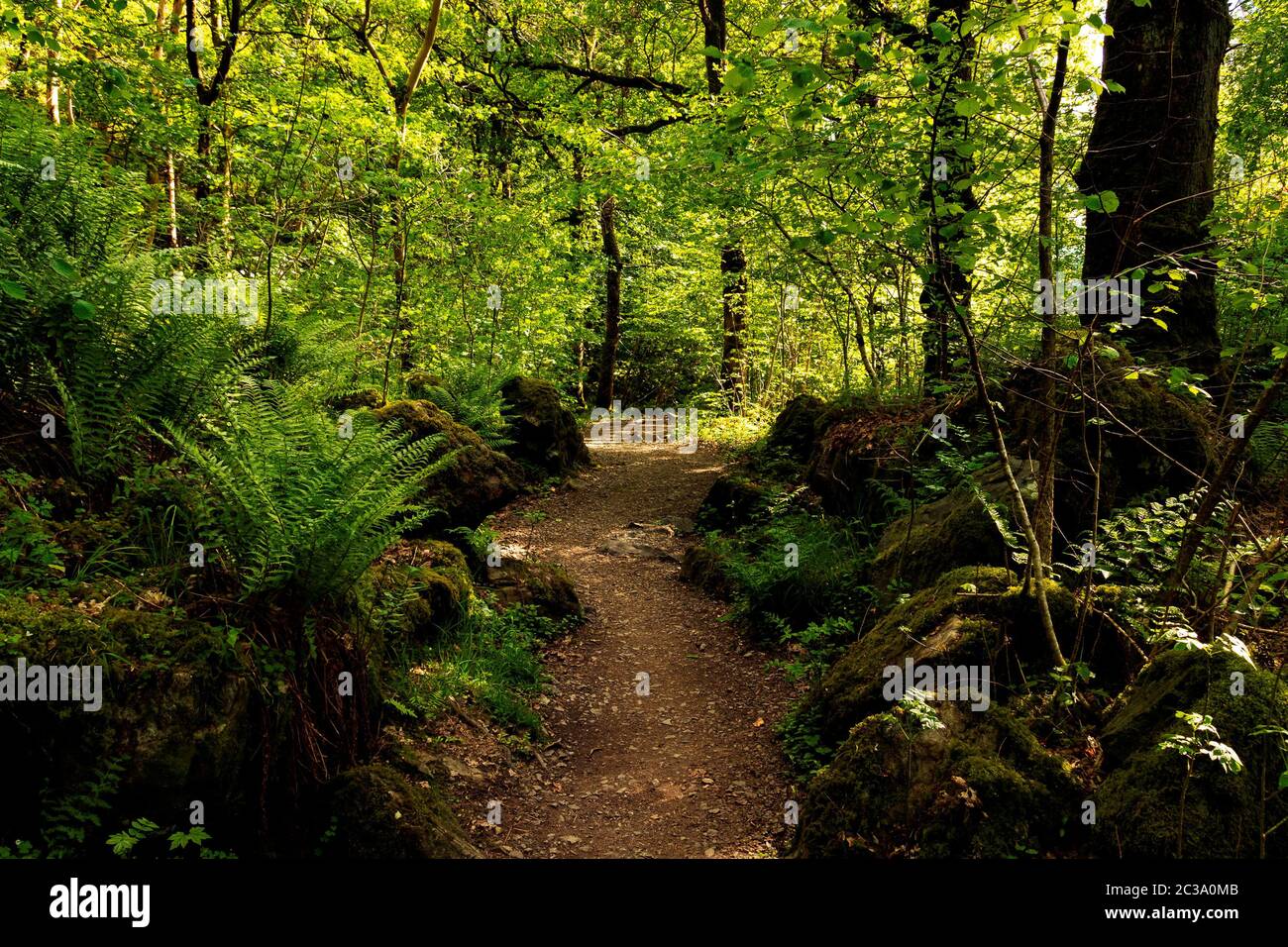 A path around the lake hi-res stock photography and images - Alamy